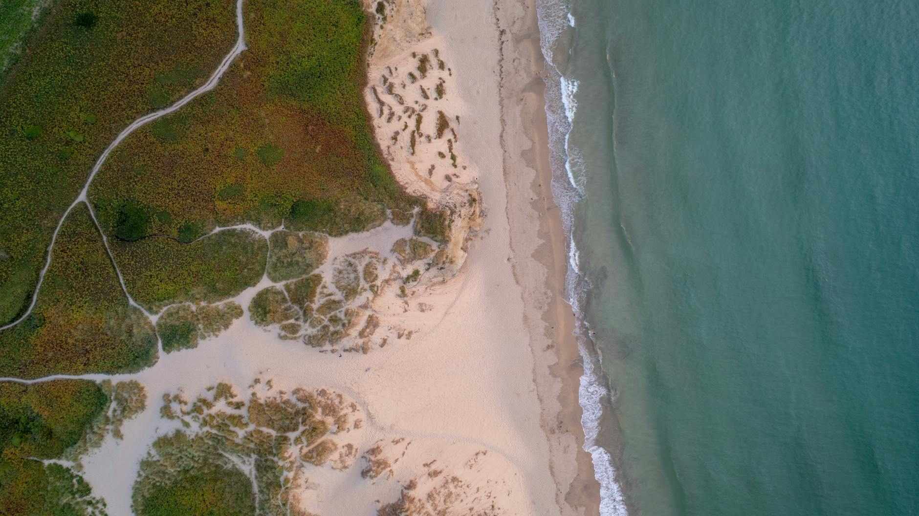 Dawn light on a wide Cornish beach, waves drawing quiet lines across ribbed sand.
